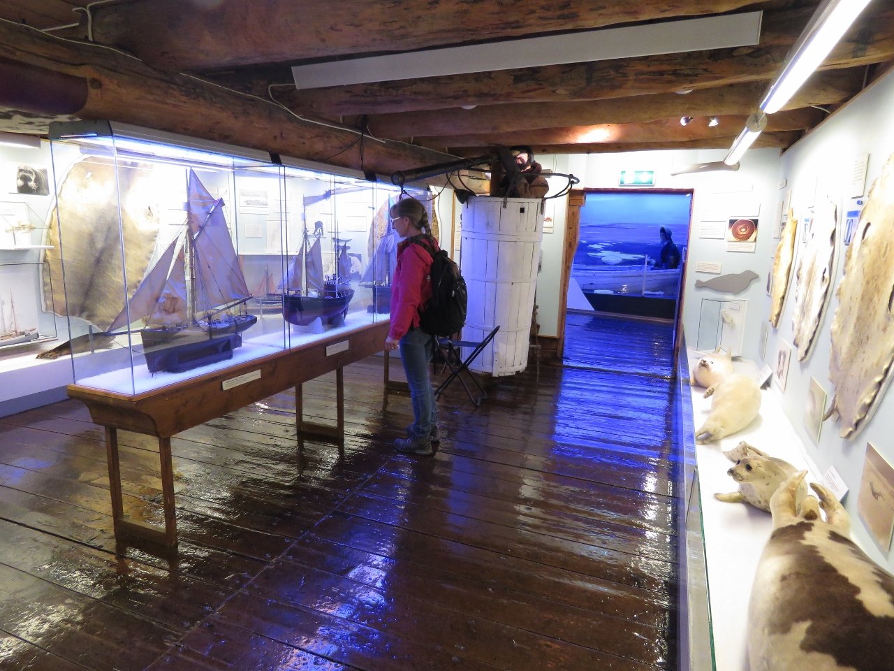 🏛️ 극지 박물관 (폴라르뮈세에트)